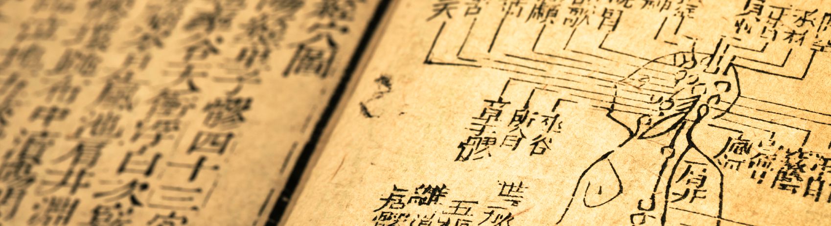 Akupunktur, Naturheilpraxis Daniel Brunner, HP Brunner