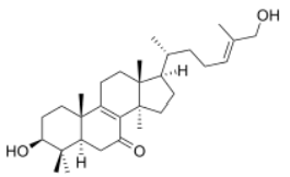 Reishi, Krebsbehandlung, Naturheikpraxis Daniel Brunner Berlin