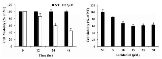 Reishi, Krebsbehandlung, Naturheikpraxis Daniel Brunner Berlin