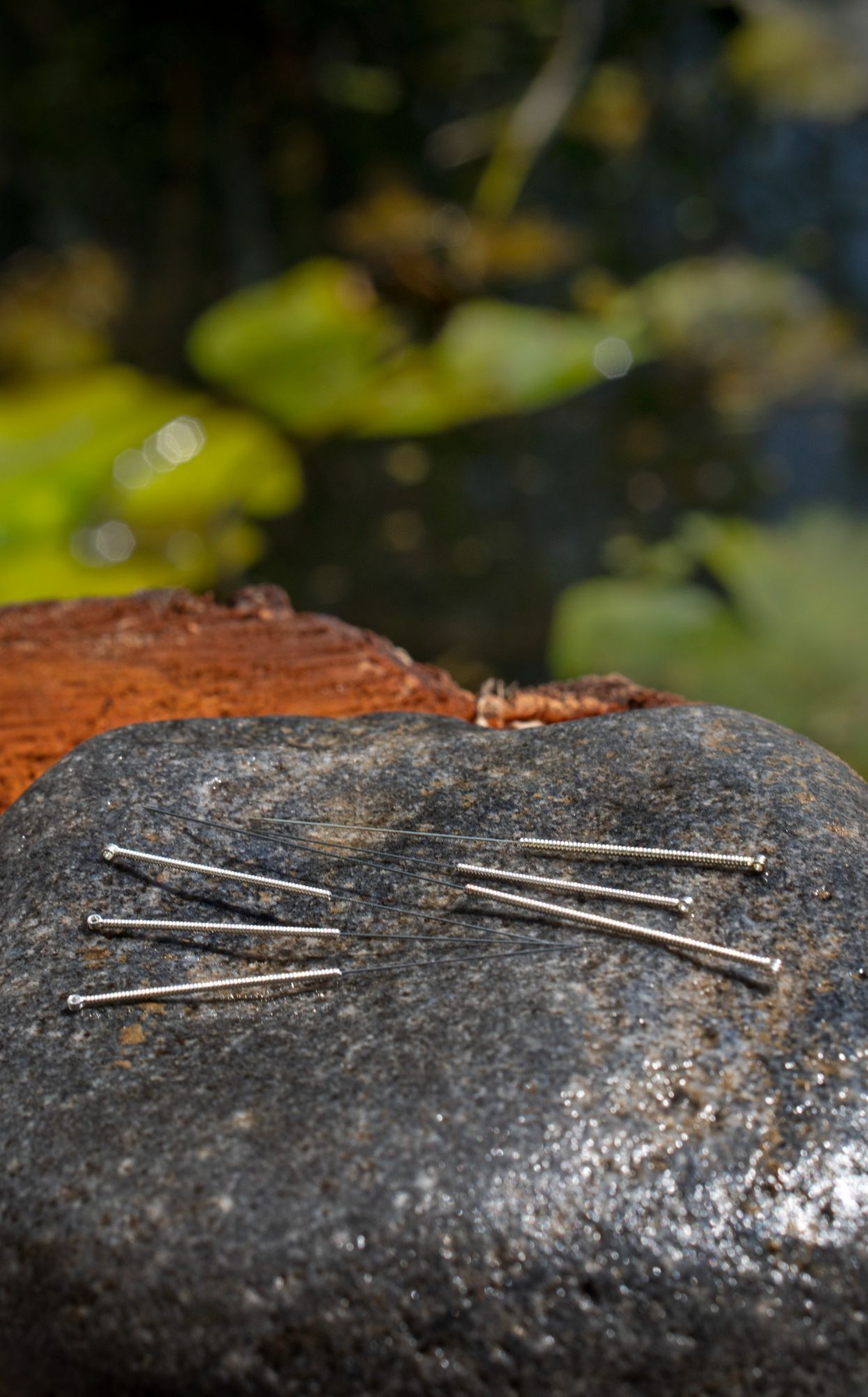 Naturheilpraxis Daniel Brunner, Berlin-Moabit, Traditionelle Chinesische Medizin, Akupunktur