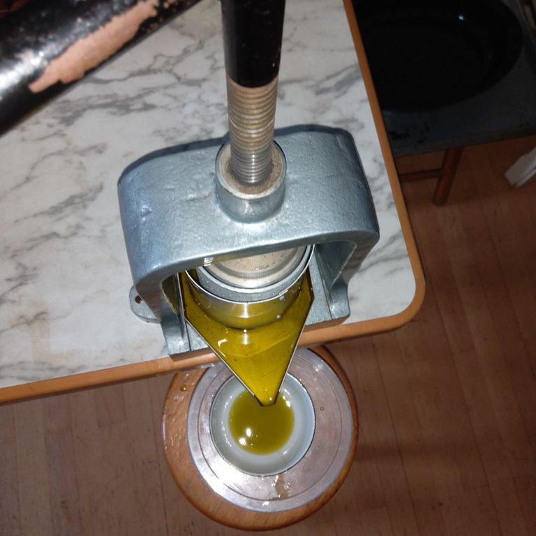 Kräuterpresse mit grüner Flüssigkeit.