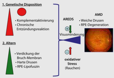 Akupunktur, AMD, Naturheilpraxis Daniel Brunner Berlin, HP Brunner