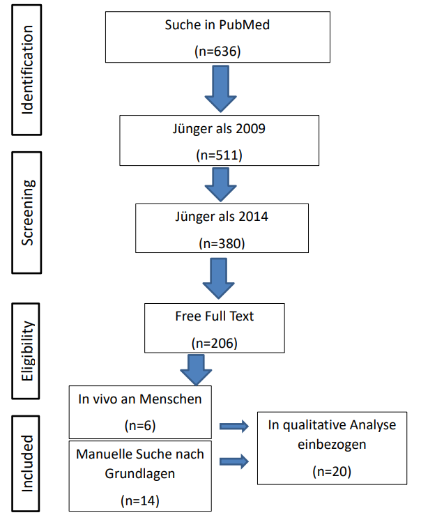 Reishi, Krebsbehandlung, Naturheikpraxis Daniel Brunner Berlin