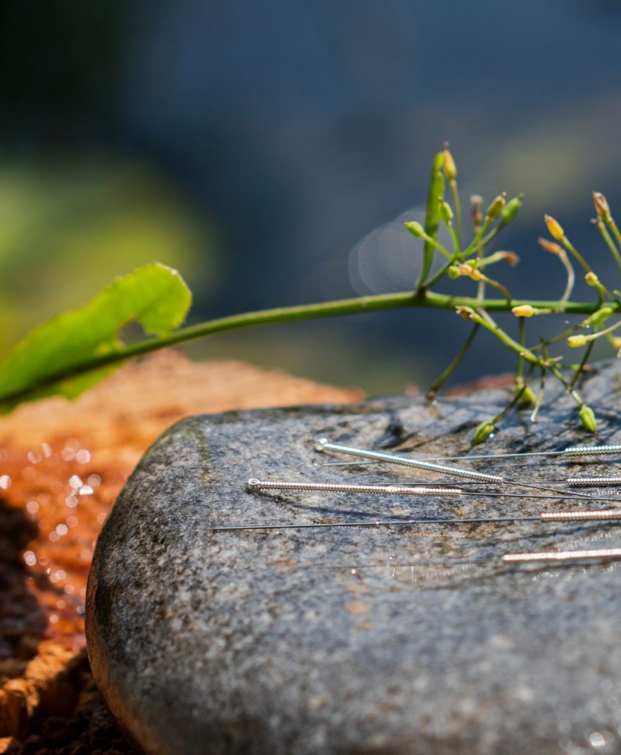 Naturheilpraxis Daniel Brunner in Berlin