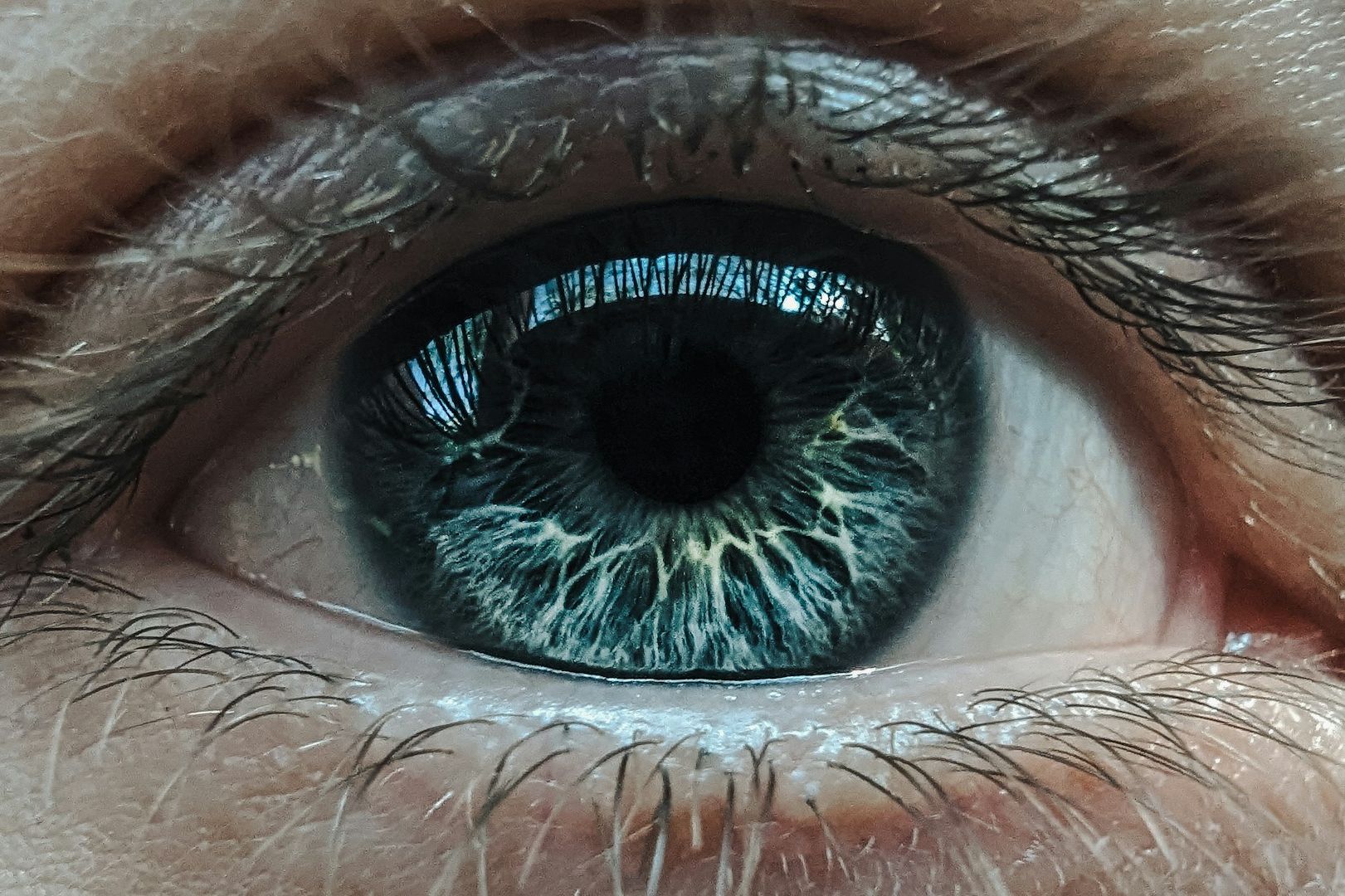 Naturheilpraxis Daniel Brunner, Berlin, Forschungsarbeit zu AMD