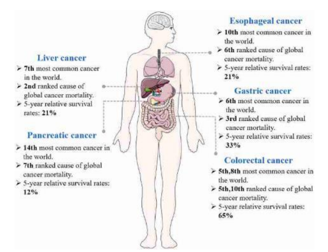 Reishi, Krebsbehandlung, Naturheikpraxis Daniel Brunner Berlin